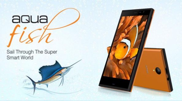 1intex-aqua-fish